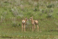_K5Q8222-Edit