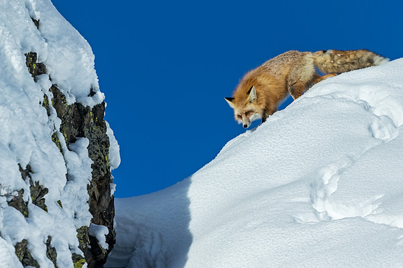 Before the jump