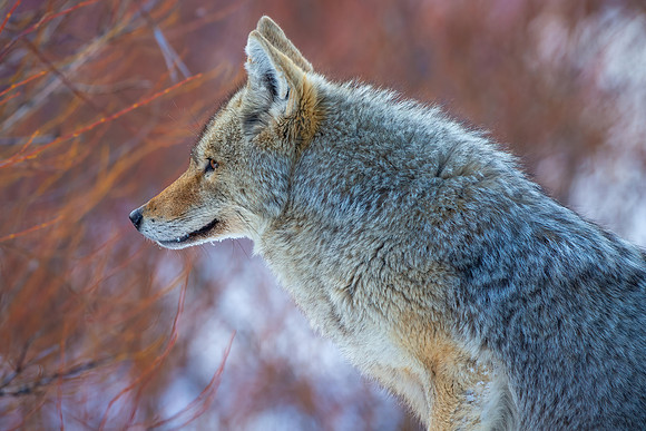 _K5Q0729_55626-Edit-2
